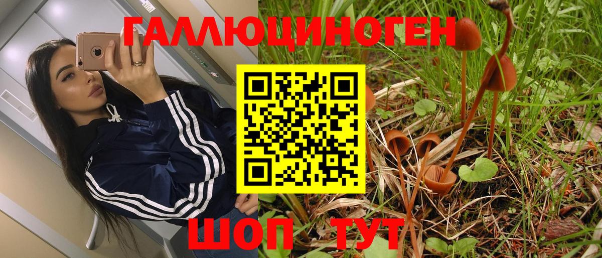 как найти закладки  Псилоцибиновые грибы прущие грибы  Вход с VPN  Павлово 