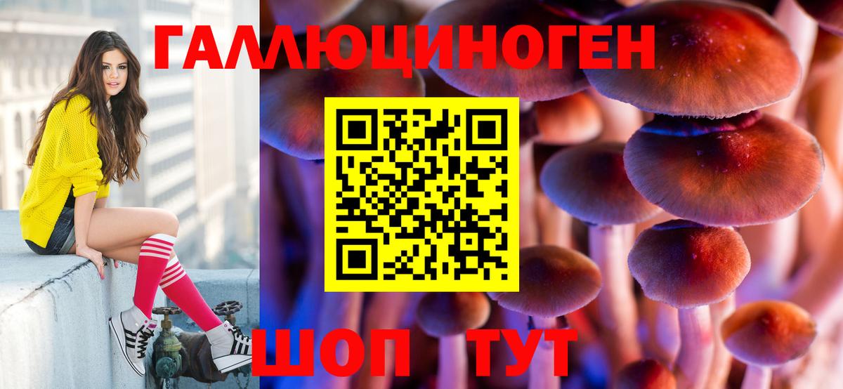 Псилоцибиновые грибы Psilocybe Павлово